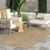 NuLOOM Katrine Zebra Indoor/Outdoor Patio Area Rug