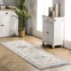NuLOOM Chase Faded Vintage Medallion Area Rug
