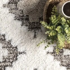 NuLOOM Amalia Southwestern High Low Shaggy Tassel Area Rug 12 NuLOOM Amalia Southwestern High Low Shaggy Tassel Area Rug -Nuloom GUEST 323b846d f5ce 4924 a286 37b686a7ab90