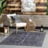 NuLOOM Chara Traditional Vines Machines Washable Indoor/Outdoor Patio Area Rug