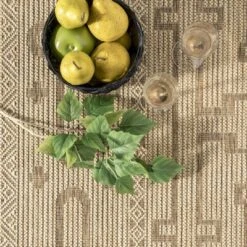 NuLOOM Brandy Transitional Celtic Indoor And Outdoor Patio Area Rug -Nuloom GUEST 49c21087 fb9a 4ae0 9f92 714af593d39f