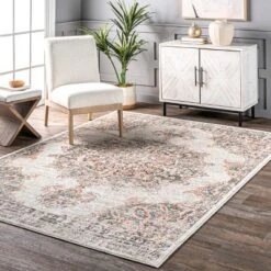 NuLOOM Vintage Medallion Liliana Area Rug