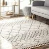 NuLOOM Alara Modern Trellis Tassel Area Rug
