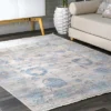 NuLOOM Vintage Brandi Floral Fringe Area Rug